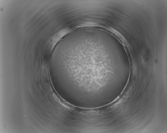 X0000068901337200605122050