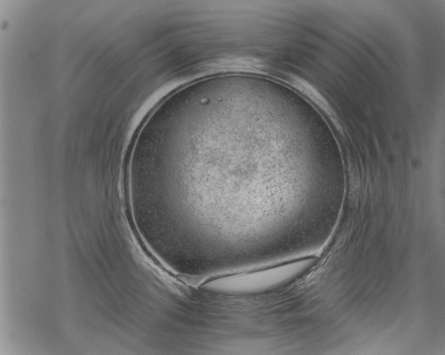 X0000068901339200605122050