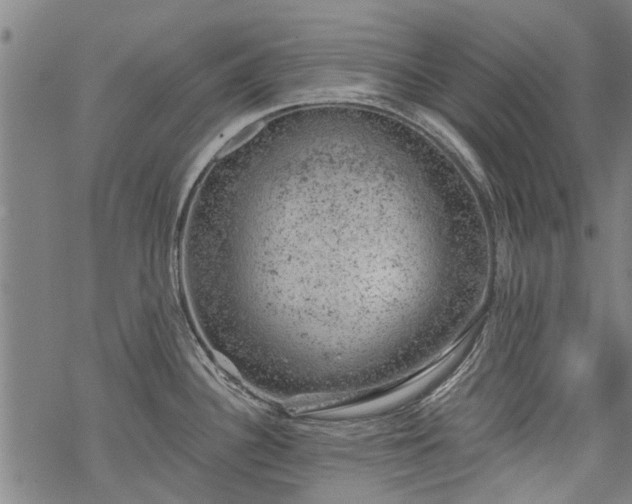 X0000068901340200605122050