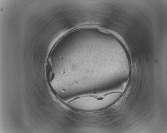 X0000068901341200605122050