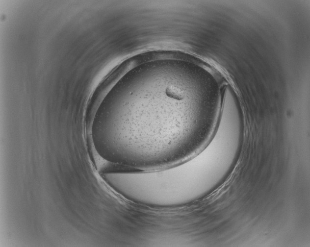 X0000068901342200605122050