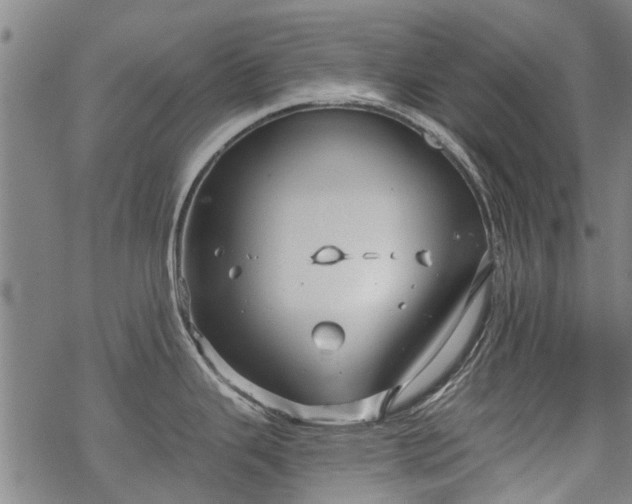 X0000068901343200605122050