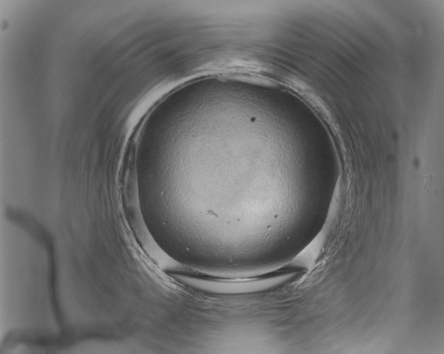 X0000068901344200605122050