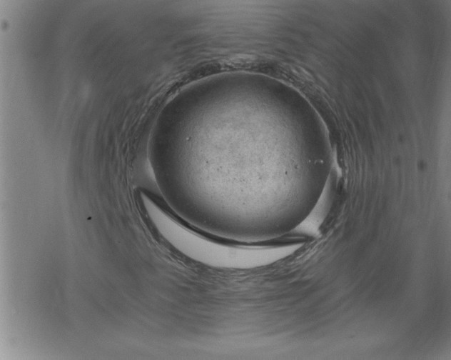 X0000068901345200605122049