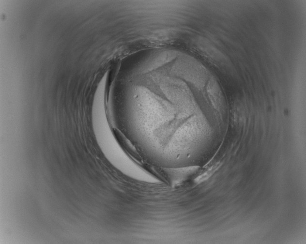 X0000068901346200605122049