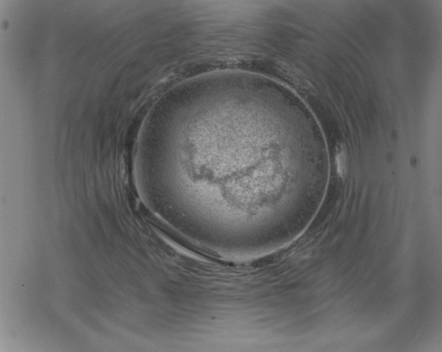 X0000068901347200605122049