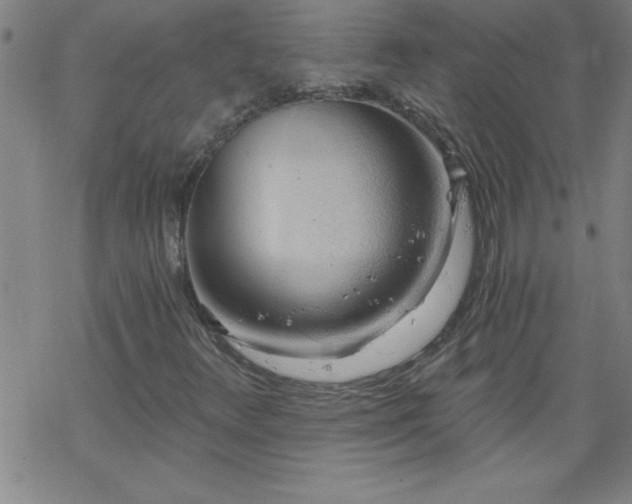 X0000068901348200605122049