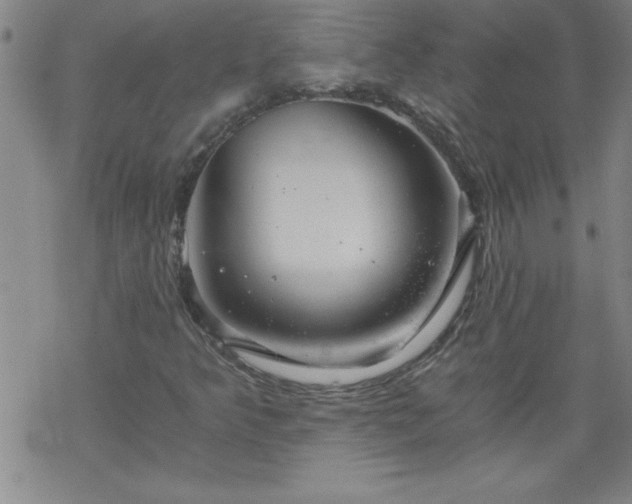 X0000068901349200605122049