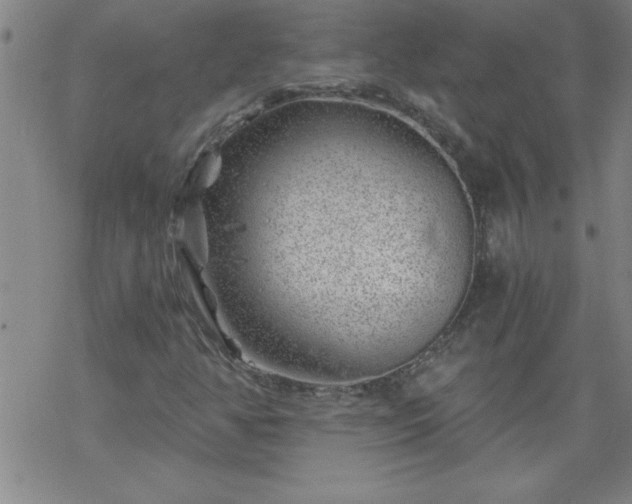 X0000068901350200605122049