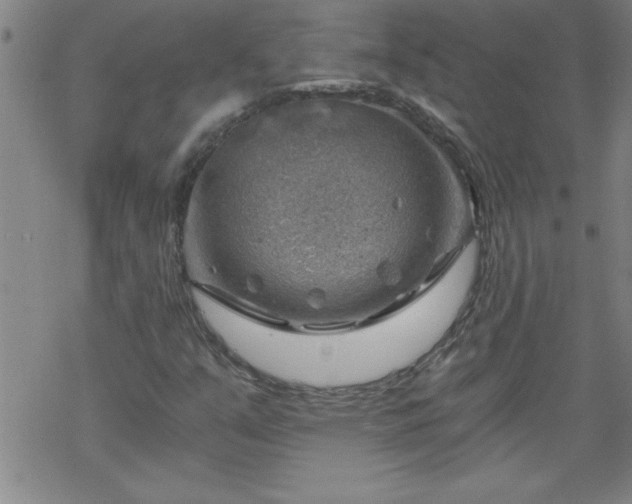 X0000068901351200605122049