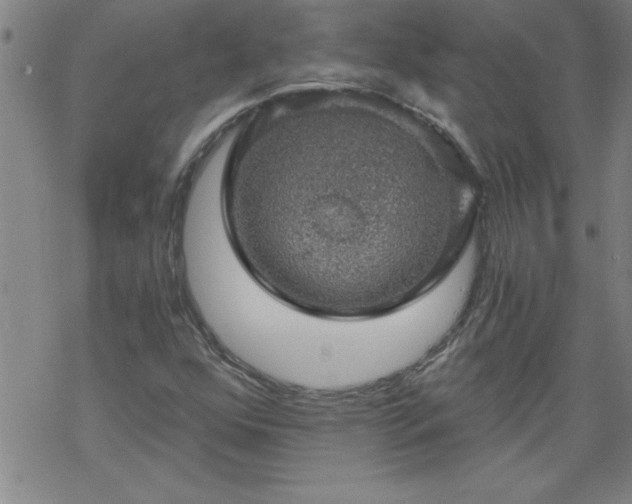 X0000068901352200605122049