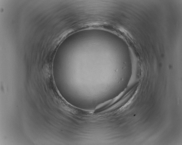 X0000068901353200605122049