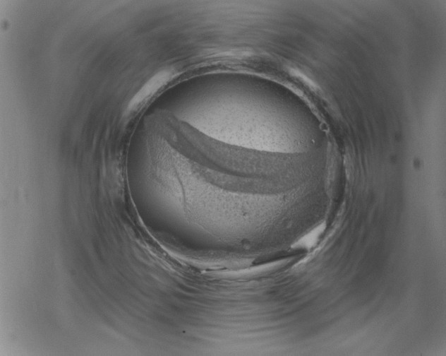 X0000068901354200605122049