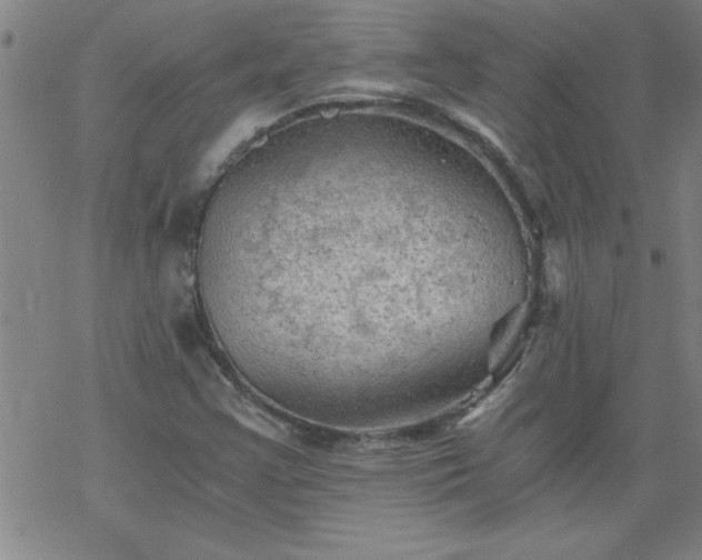 X0000068901355200605122049