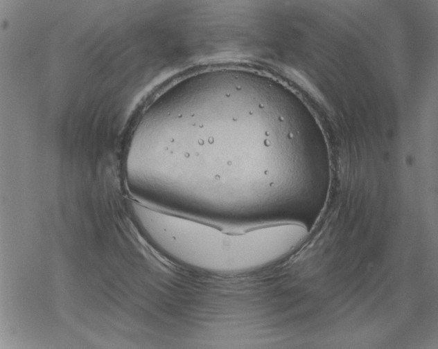 X0000068901356200605122049