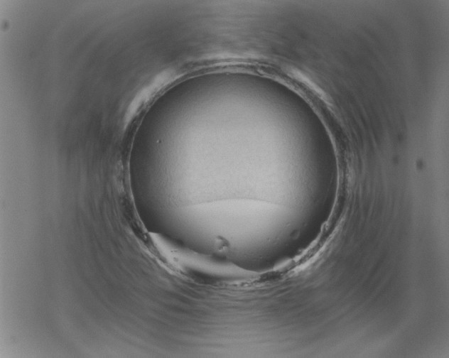 X0000068901357200605122049