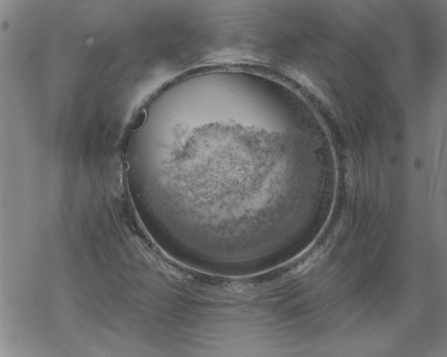 X0000068901358200605122049