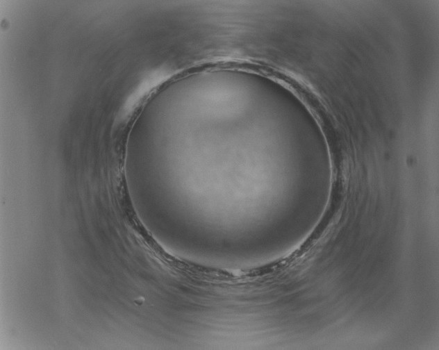 X0000068901359200605122049