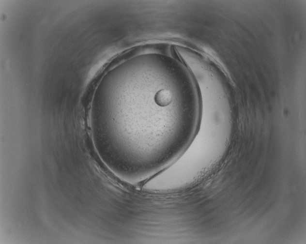 X0000068901360200605122049