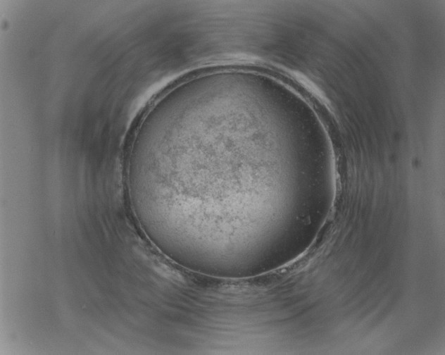 X0000068901364200605122049