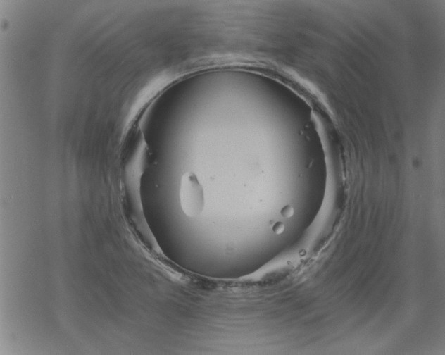 X0000068901365200605122049