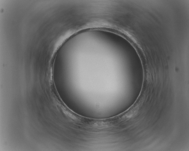 X0000068901366200605122049