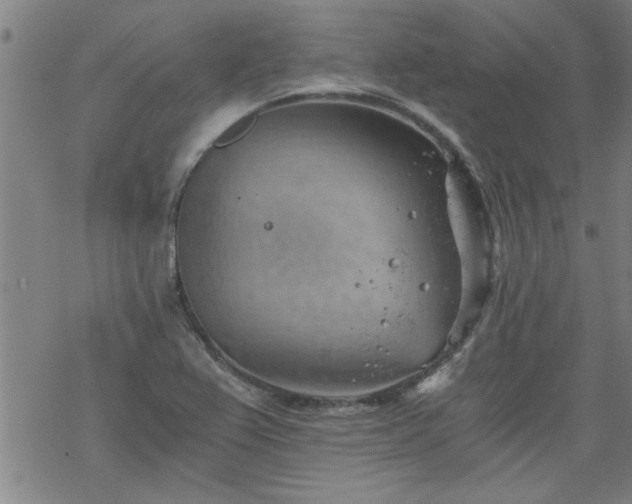 X0000068901367200605122049