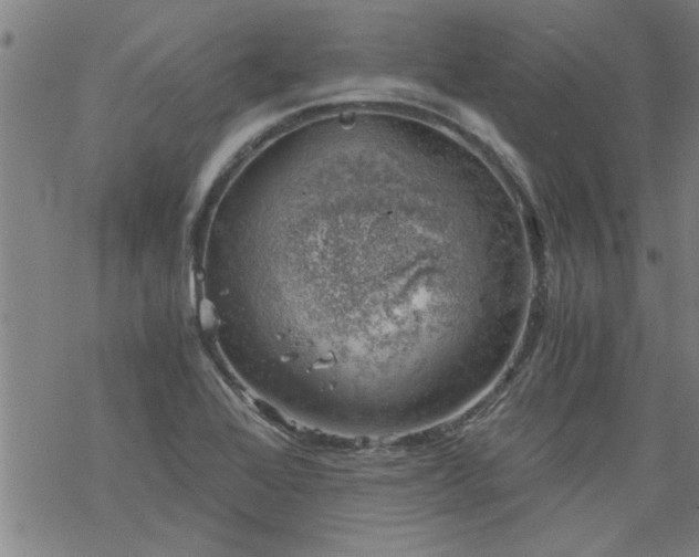 X0000068901368200605122049