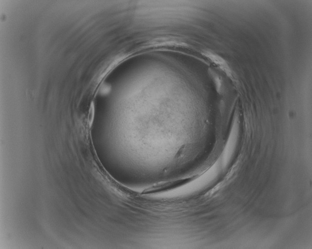 X0000068901369200605122049