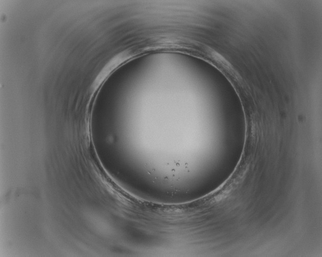 X0000068901370200605122049