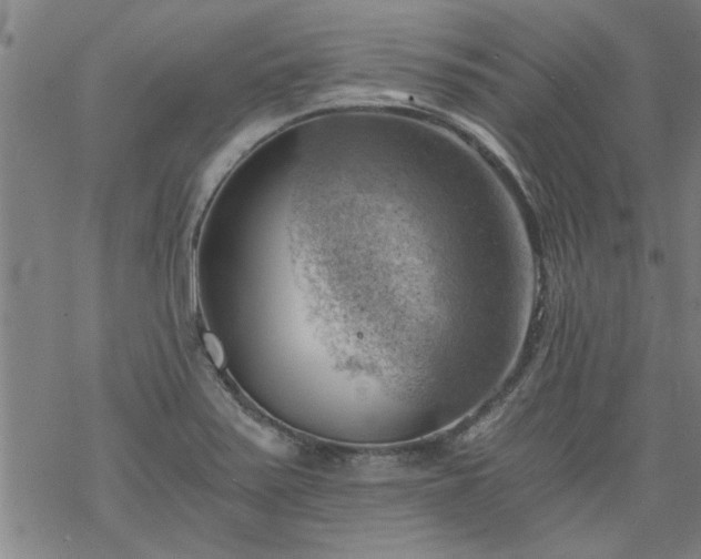 X0000068901371200605122049