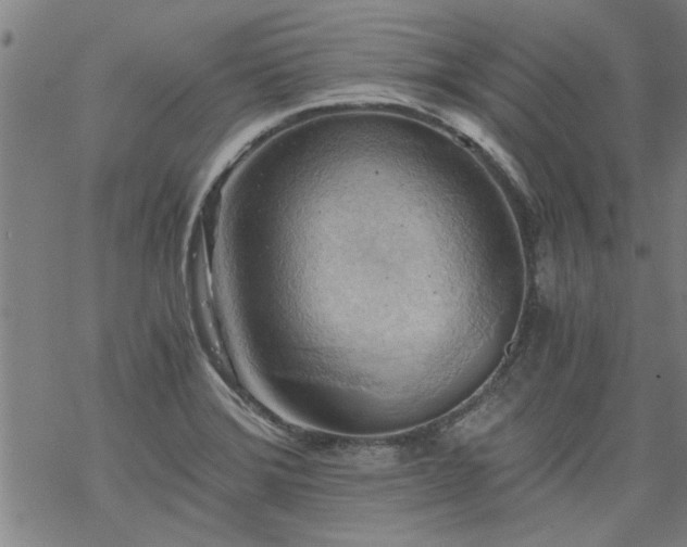 X0000068901372200605122049