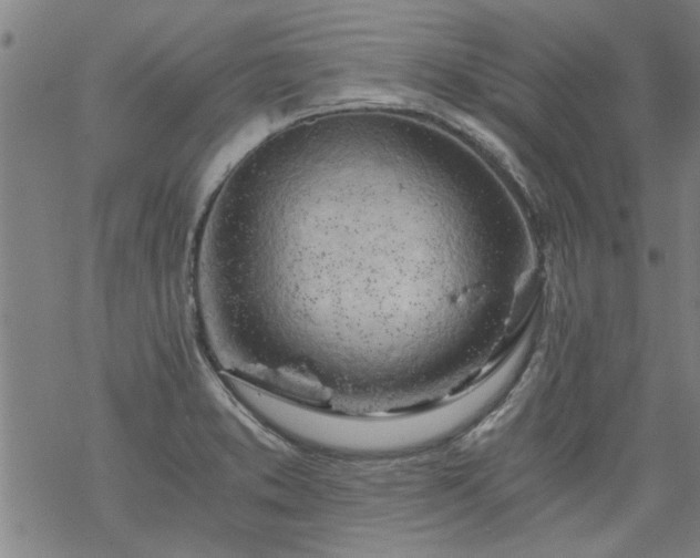 X0000068901373200605122049