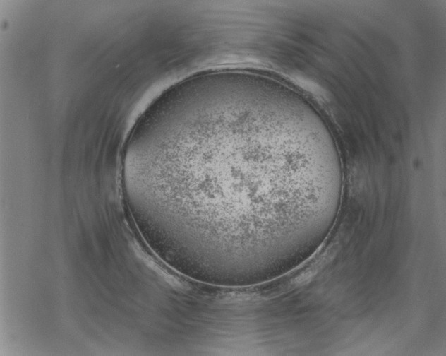 X0000068901374200605122049