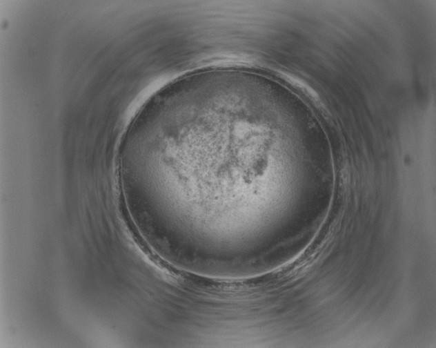 X0000068901375200605122049