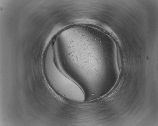 X0000068901376200605122049