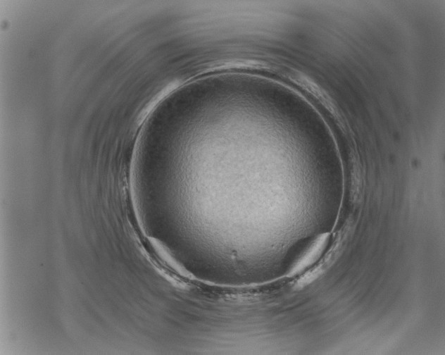 X0000068901377200605122049