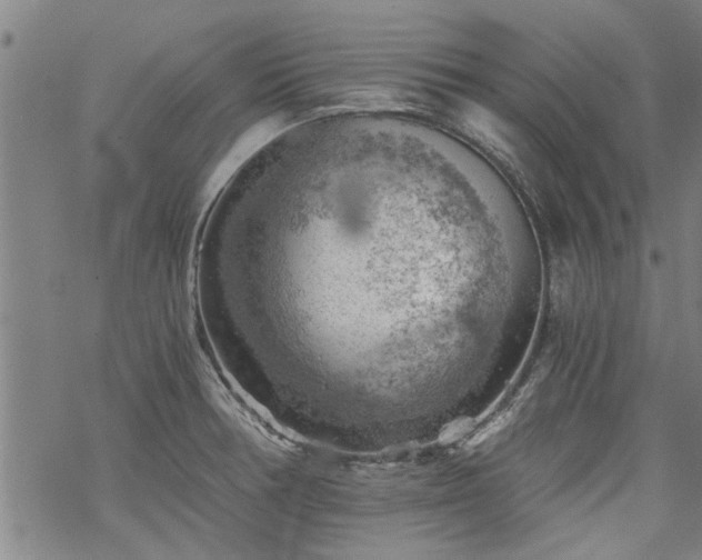 X0000068901378200605122049