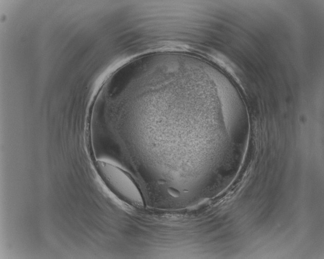 X0000068901379200605122049