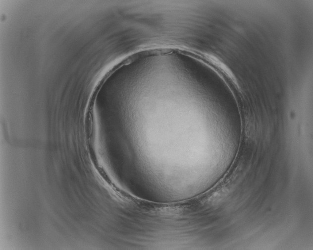 X0000068901380200605122049