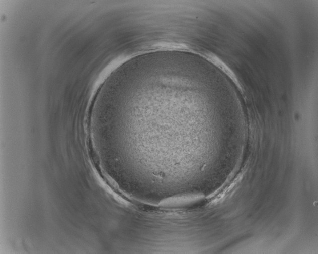 X0000068901381200605122049