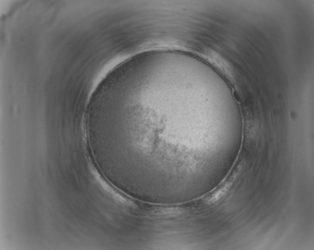 X0000068901382200605122049