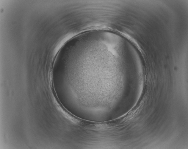 X0000068901383200605122049