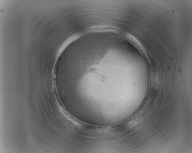 X0000068901386200605122049