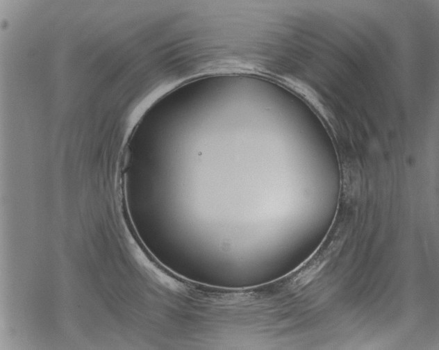 X0000068901387200605122049