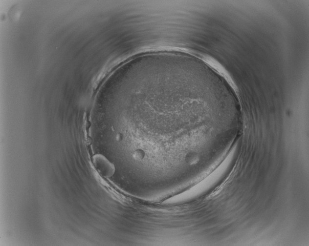 X0000068901388200605122049