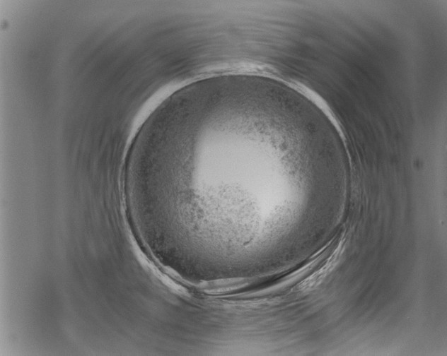 X0000068901389200605122049