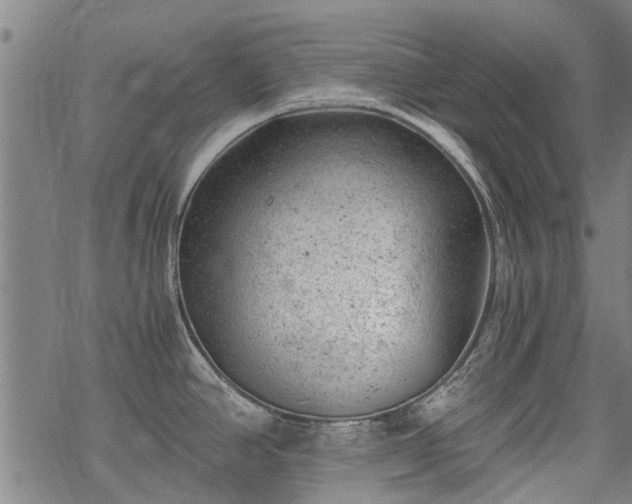 X0000068901390200605122049