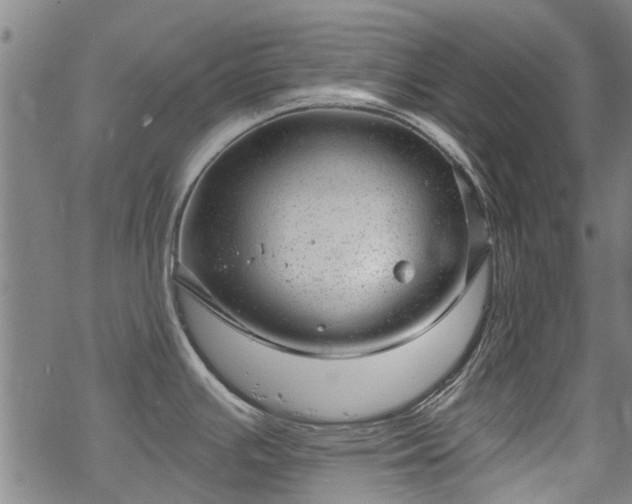 X0000068901391200605122049