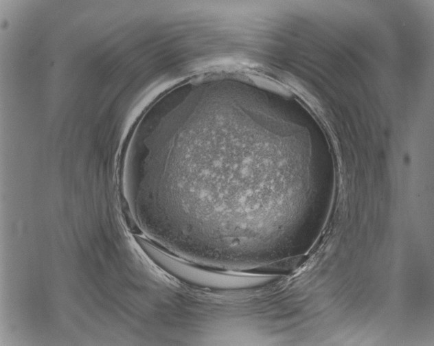 X0000068901392200605122049